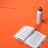 Дорожный плед Voyager 2, оранжевый