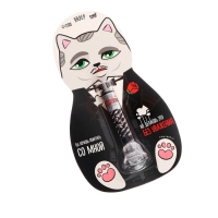 Лазер «Ты хочешь поиграть со мной?», цвета МИКС,на блистере Лазер «Ты хочешь поиграть со мной?», цвета МИКС,на блистере