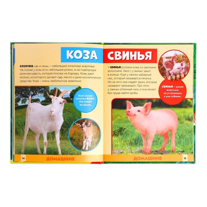 Фотоэнциклопедия для детей &laquo;В мире животных&raquo;, 48 стр.