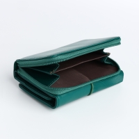 Кошелёк женский на кнопке, цвет зелёный Кошелёк женский на кнопке, цвет зелёный