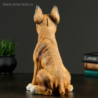 Копилка "Боксер", 36х24см Копилка "Боксер", 36х24см