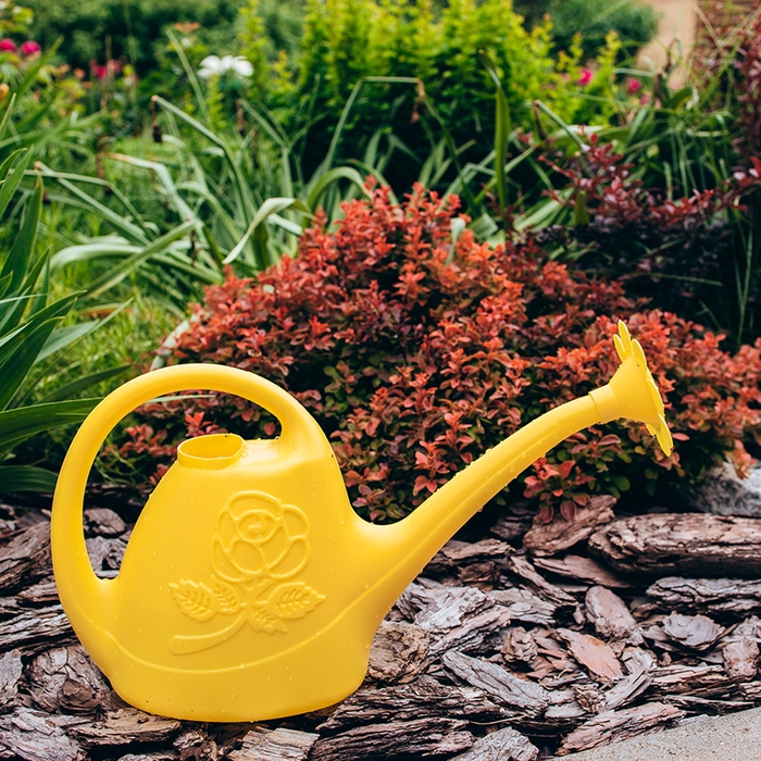 Лейка, 2.5 л, с рассеивателем, носик d = 18 мм, цвет МИКС Лейка, 2.5 л, с рассеивателем, носик d = 18 мм, цвет МИКС