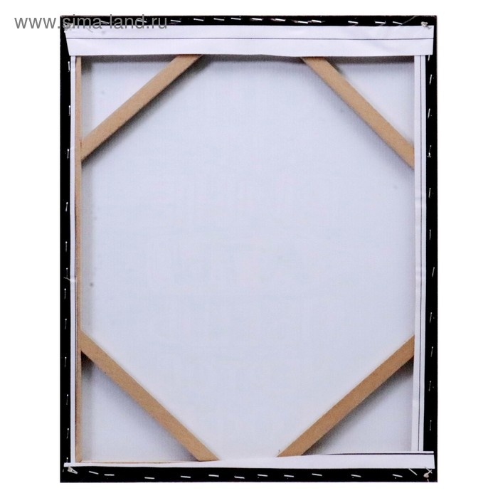 Картина на холсте "Истина" 40х50 см