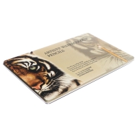 Карандаши акварельные, цельнографитные, 20 цветов+2 кисти+точилка, в металлической коробке WWP-20 Карандаши акварельные, цельнографитные, 20 цветов+2 кисти+точилка, в металлической коробке WWP-20