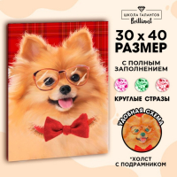 Алмазная мозаика с полным заполнением на подрамнике &laquo;Собачка&raquo;, 30 х 40 см