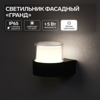 Светильник фасадный &laquo;Гранд&raquo;, FSD-039, 5 Вт, 4000К, IP65, 220 В, пластик, черный
