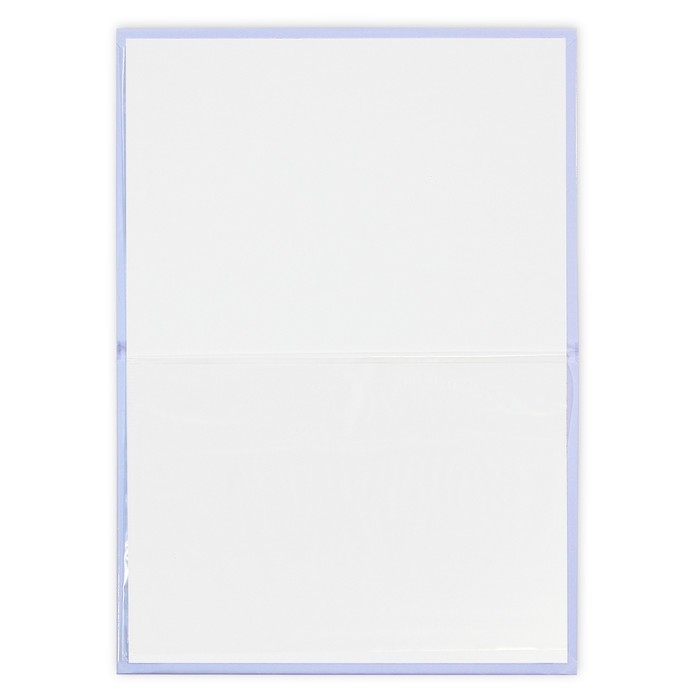 Папка для свидетельства о рождении &laquo;Наше чудо&raquo;, зайки, А5