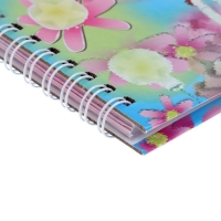 Записная книжка подарочная на замочке, А6+, 50 листов, линия, "Милашка", МИКС