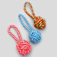 Игрушка канатная "Мяч с петлей", до 65 гр, микс цветов Игрушка канатная "Мяч с петлей", до 65 гр, микс цветов