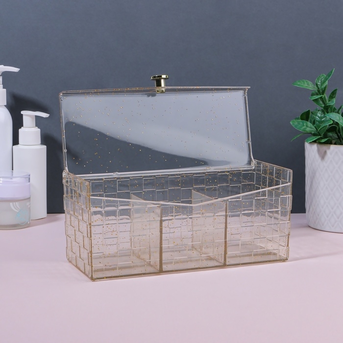 Органайзер для хранения «SHINE», с крышкой, 3 секции, 21,5 × 8,8 × 9,5 см, цвет прозрачный/золотистый Органайзер для хранения «SHINE», с крышкой, 3 секции, 21,5 × 8,8 × 9,5 см, цвет прозрачный/золотистый