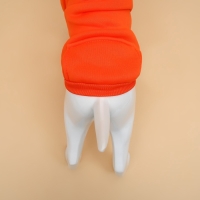 Толстовка для животных с капюшоном, размер XL (ДС 50 см). Оранжевая Толстовка для животных с капюшоном, размер XL (ДС 50 см). Оранжевая