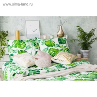 Постельное бельё "Этель" 2 сп., Монстера, размер 175х215 см, 200х220 см, 70х70 см - 2 шт