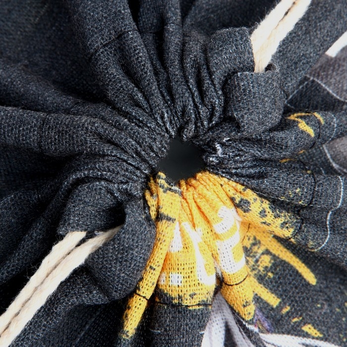 Мешок для обуви &laquo;Аниме комикс&raquo; хлопковкая 30 х 40 см