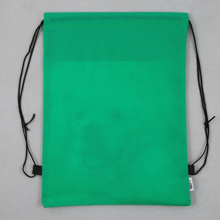 Мешок для обуви &laquo;Милый щенок&raquo; нетканное полотно, размер 30 х 40 см