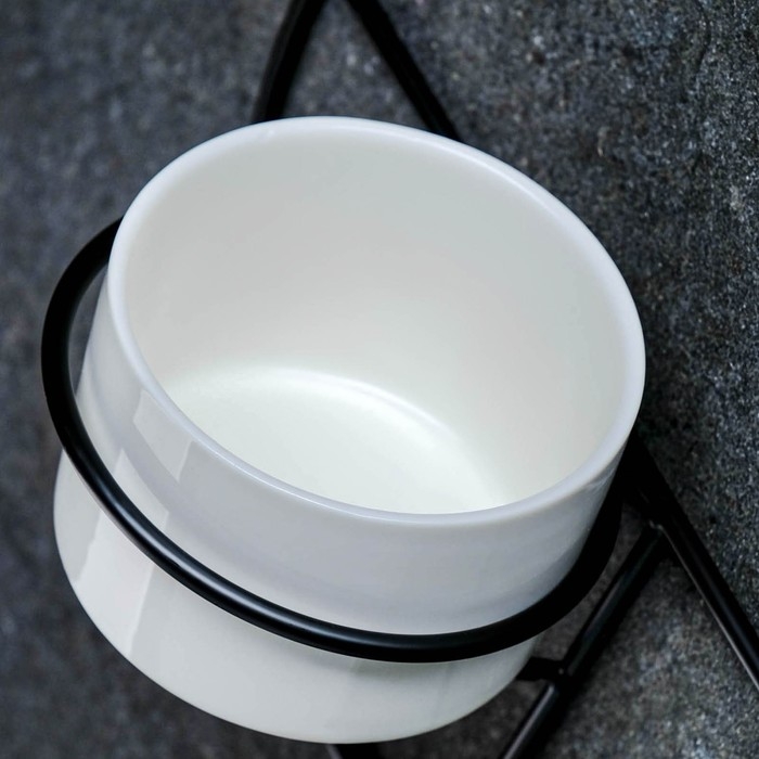 Горшок настенный "Салли" с черной подставкой, 17х8х17см