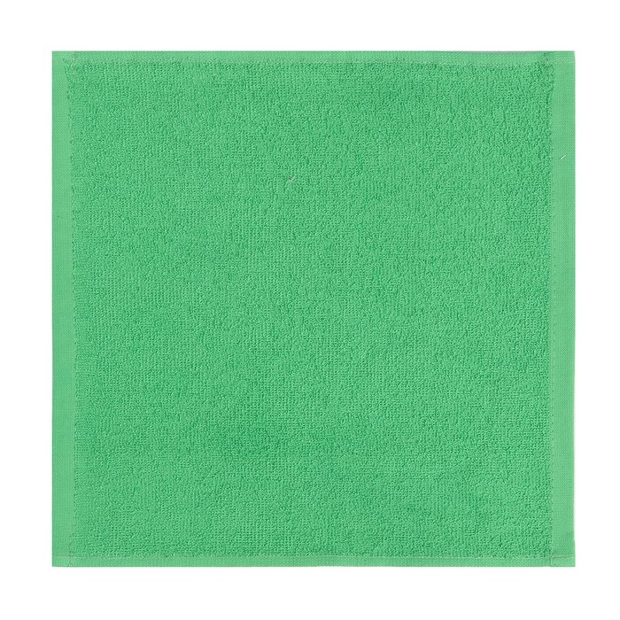 Набор махровых декоративных салфеток Этель "Вид 1" 30х30см-3шт, цвет зеленый, 100% хлопок