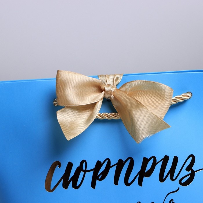 Пакет подарочный, упаковка, &laquo;Сюрприз&raquo;, 14 х 17 х 7 см