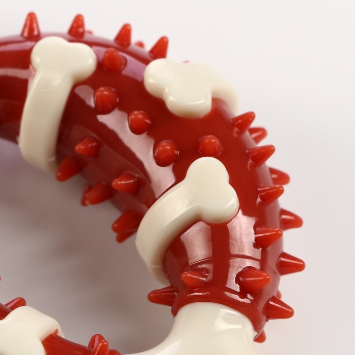 Игрушка для собак "Кость" Пижон Premium, 12,5 см, TPR+нейлон