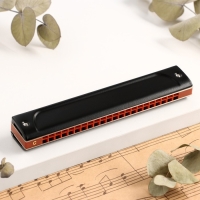 Губная гармошка Music Life T22K тремоло, с футляром