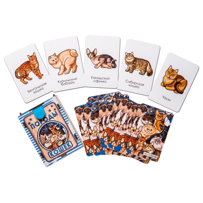 Набор карточек &laquo;Породы кошек&raquo;