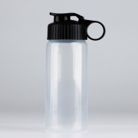 Бутылка для воды &laquo;Вид 1&raquo;, 450 мл