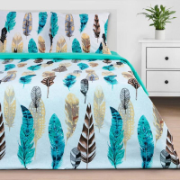 Постельное бельё "Этель" 2 сп Перья 175*215 см, 200*220 см, 70*70 см - 2 шт, поплин