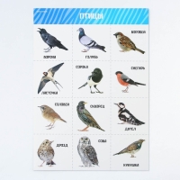 Набор обучающих плакатов «Изучаем мир», 10 в 1, А4 Набор обучающих плакатов «Изучаем мир», 10 в 1, А4