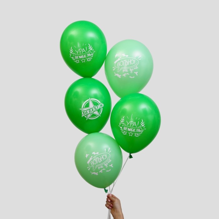 Воздушный шар латексный 12" &laquo;Дембель&raquo;, 5 шт.