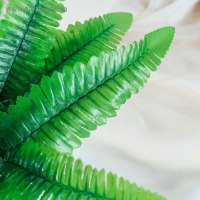 Букет "Папоротник" 35 см Букет "Папоротник" 35 см