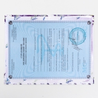 Папка для медицинского полиса "Цветы", 17,5 х 11,3 см