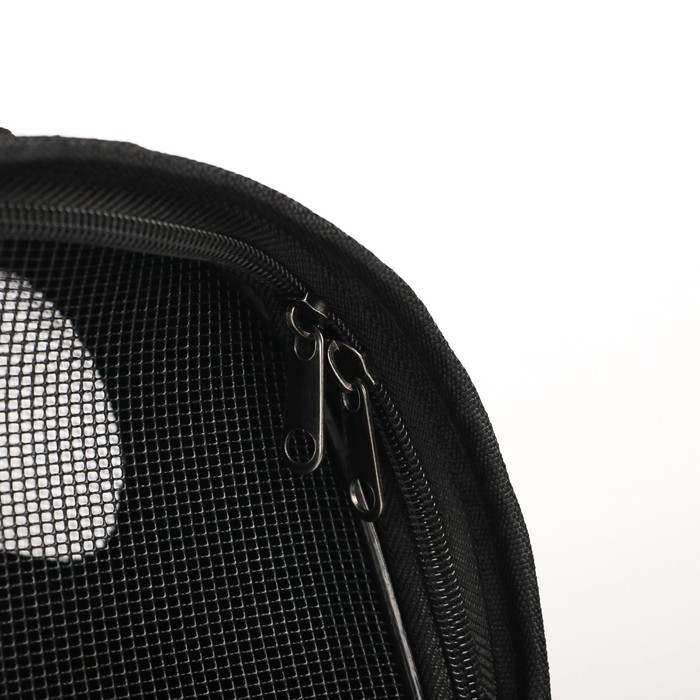 Сумка - переноска раскладная &laquo;Бро не багаж&raquo; 43х27х20 см