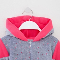 Комбинезон утеплённый, цвет серо-розовый, рост 74 см Комбинезон утеплённый, цвет серо-розовый, рост 74 см