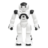 Робот радиоуправляемый &laquo;Хантер&raquo;, световые и звуковые эффекты, работает от аккумулятора, цвет чёрный