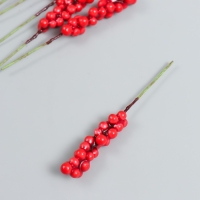 Декор для творчества "Веточка с ягодами" красный набор 10 шт 1х1х9 см Декор для творчества "Веточка с ягодами" красный набор 10 шт 1х1х9 см