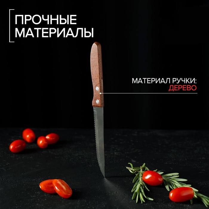 Нож кухонный Доляна &laquo;Эльбрус&raquo;, зубчатое лезвие 11,5 см