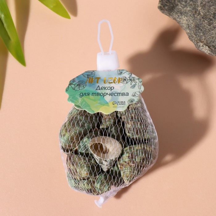 Ракушки природные декоративные "Раковина зелёная" набор 100 гр