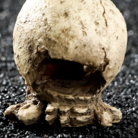 Декор для аквариума "Череп", 10 х 8 х 9 см Декор для аквариума "Череп", 10 х 8 х 9 см