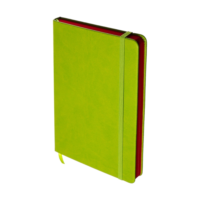 Ежедневник недатированный A5, 140л, клетка, кожзам, на резинке, красный срез, Зеленый Ежедневник недатированный A5, 140л, клетка, кожзам, на резинке, красный срез, Зеленый