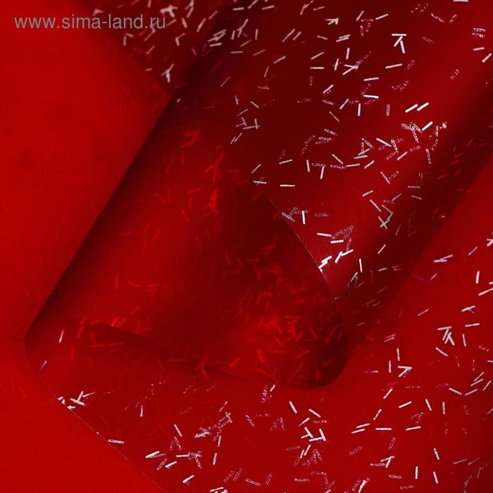 Пленка для цветов "Звездная ночь", 58 см х 5 м винный