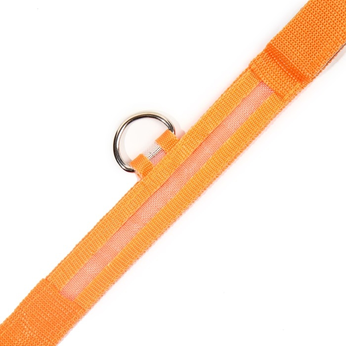 Ошейник с подсветкой размер S, ОШ 35-43 х 2,5 см, 3 режима свечения оранжевый Ошейник с подсветкой размер S, ОШ 35-43 х 2,5 см, 3 режима свечения оранжевый