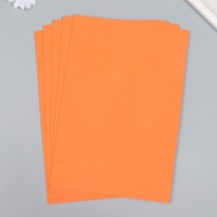 Фоамиран "Грейпфрут" 1,3 мм (набор 5 листов) формат А4 Фоамиран "Грейпфрут" 1,3 мм (набор 5 листов) формат А4