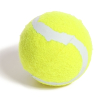 Игра «Бросатель», 2 шт., с мячом, МИКС Игра «Бросатель», 2 шт., с мячом, МИКС