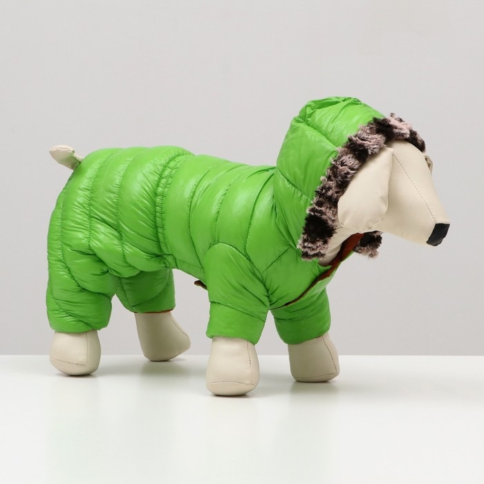 Комбинезон Комбинезон "Лайв" с утяжкой, размер 10 (ДС 25 см, ОГ 34 см, ОШ 24 см), салатовый