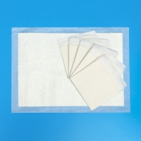 Пеленки шестислойные гелевые, 60 х 45 см, (в наборе 10 шт) Пеленки шестислойные гелевые, 60 х 45 см, (в наборе 10 шт)