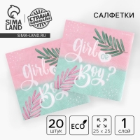 Гендер-пати. Салфетки бумажные &laquo;Girl or Boy&raquo;, 25х25см, набор 20 шт.