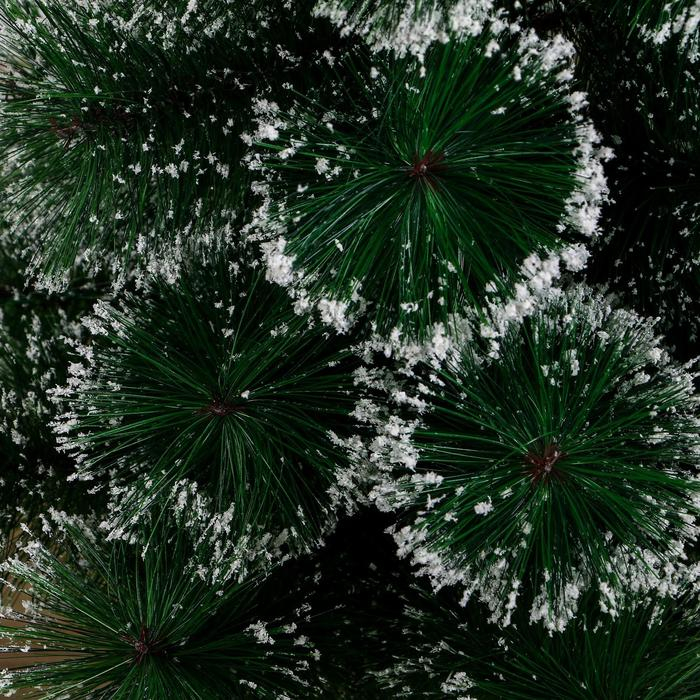 Кедр "Иней" пласт подставка, 60 см d иголок 10 см веток 35 веток