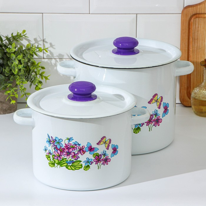 Набор кастрюль &laquo;Фиалка&raquo;, 2 предмета: 3.5 л, 5.5 л, индукция, цвет МИКС