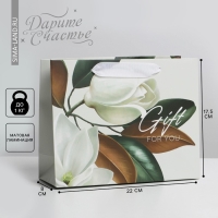 Пакет подарочный ламинированный, упаковка, &laquo;Подарок&raquo; 22 х 17,5 х 8 см