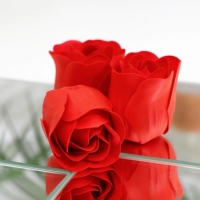 Мыльные розочки, красные, набор 10 шт. Мыльные розочки, красные, набор 10 шт.