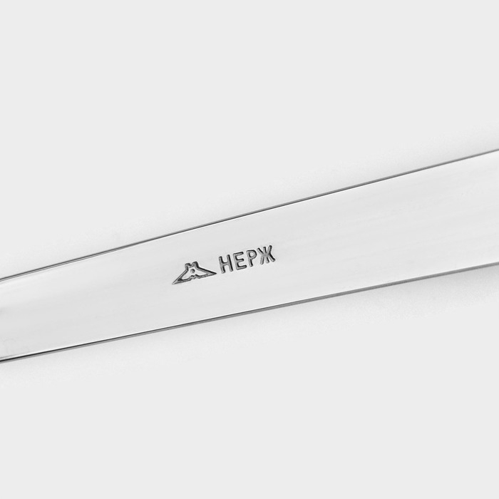 Набор столовый «Торжество», 18 предметов, толщина 2 мм, картонная коробка, цвет серебряный Набор столовый «Торжество», 18 предметов, толщина 2 мм, картонная коробка, цвет серебряный